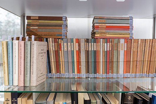 Bibliothekregal mit vielen alten, schön und farbig gestalteten Büchern